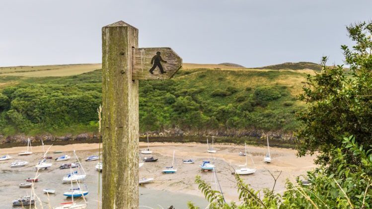 Wooden footpath sign with Solva Harbour in background