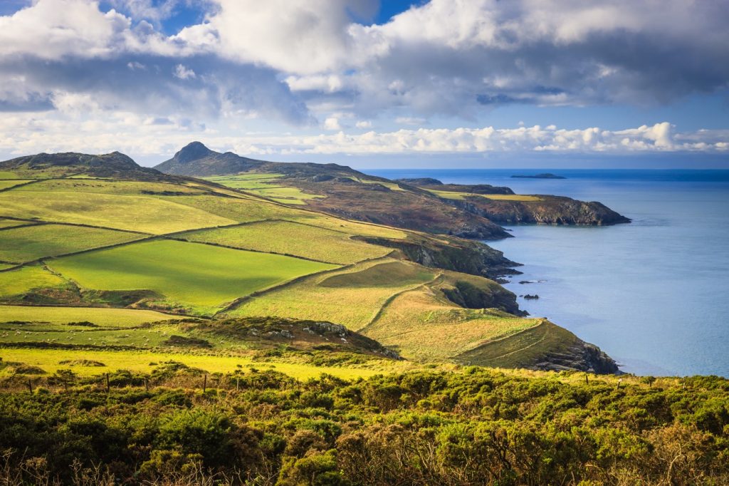 Photograph of the Pembrokeshire Coast looking south from Penberi towards St David's Head.