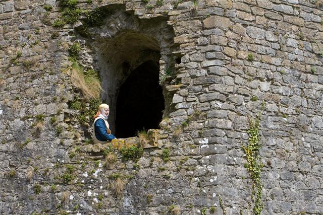 Medieval lady in Carew window