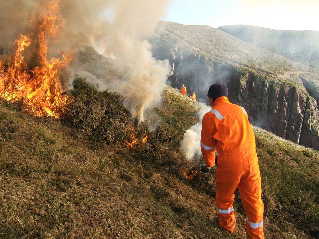 Controlled burning on the coast to boost biodiversity