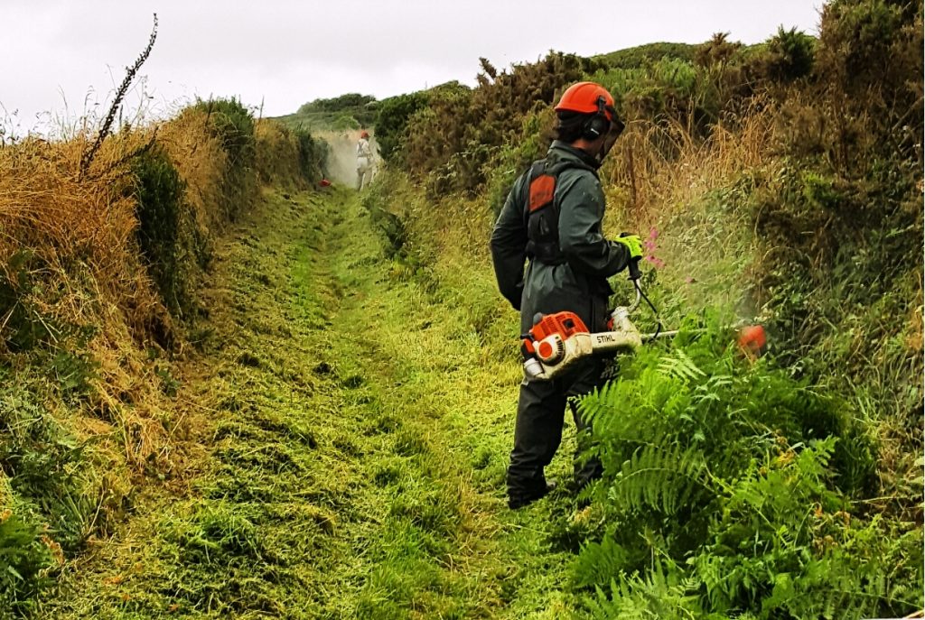 Pembrokeshire Coast National Park Authority Warden cutting vegetation on the Pembrokeshire Coast Path