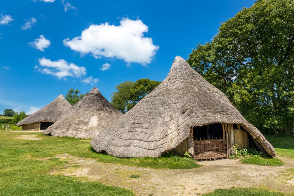 Iron Age roundhouses at Castell Henllys Iron Age Village