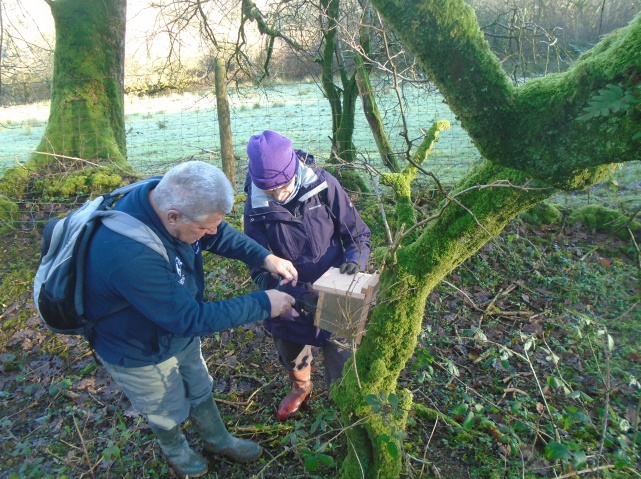 Dormouse Box and Tyriet Farm, Pembrokeshire, Wales, UK