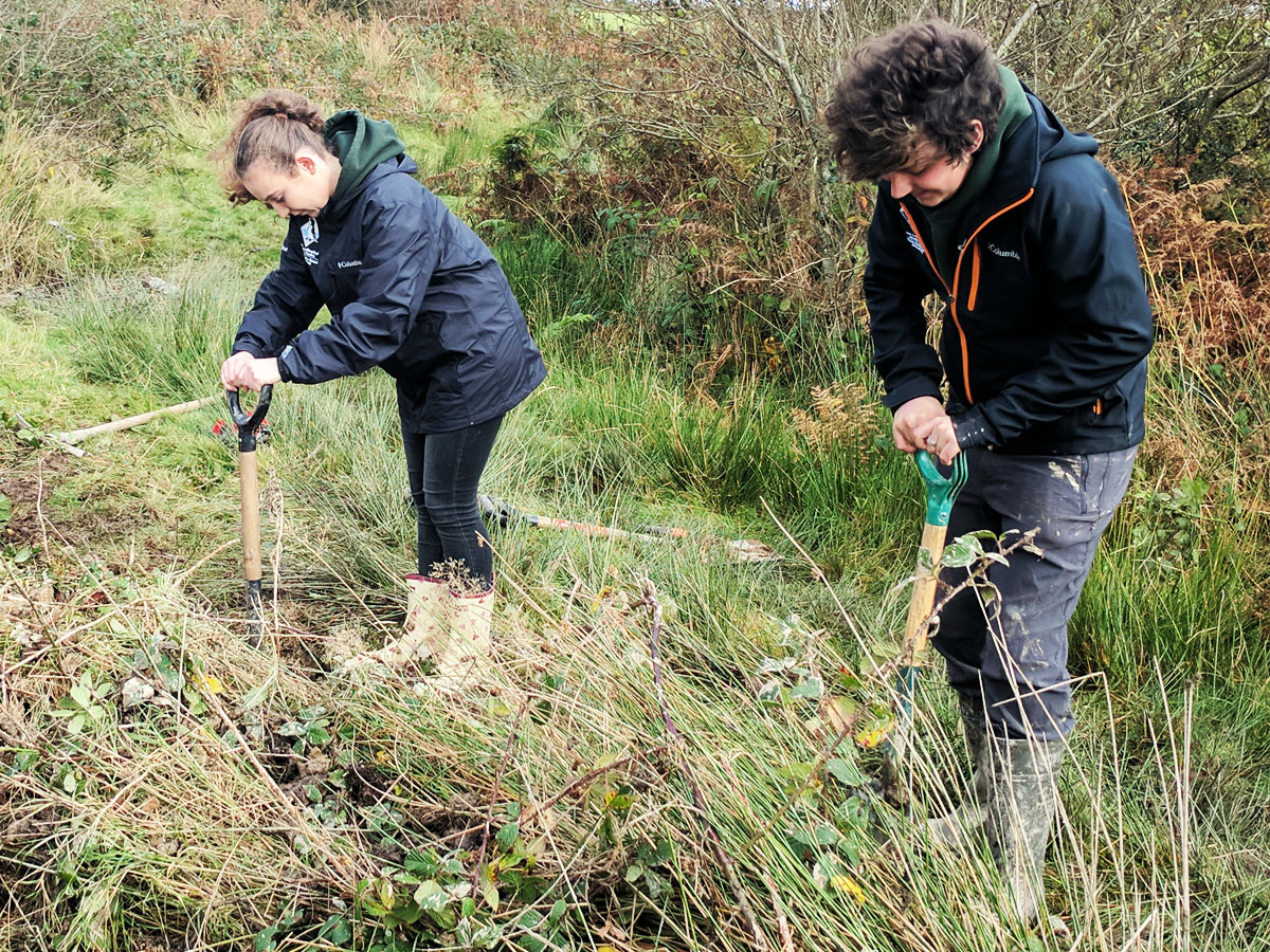 Pembrokeshire Coast National Park Youth Rangers at Penlan Woods, Pembrokeshire Coast National Park, Wales, UK