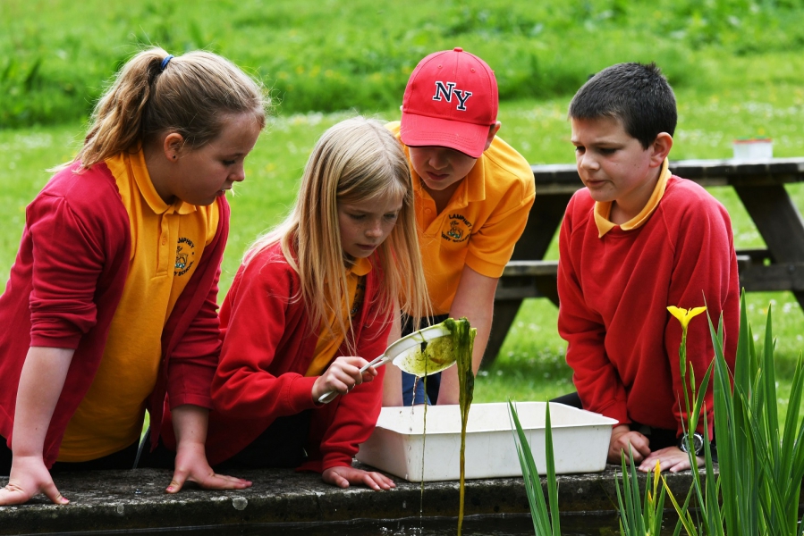 Primary school pupils pond dipping at Stackpole, Pembrokeshire Coast National Park, Wales, UK