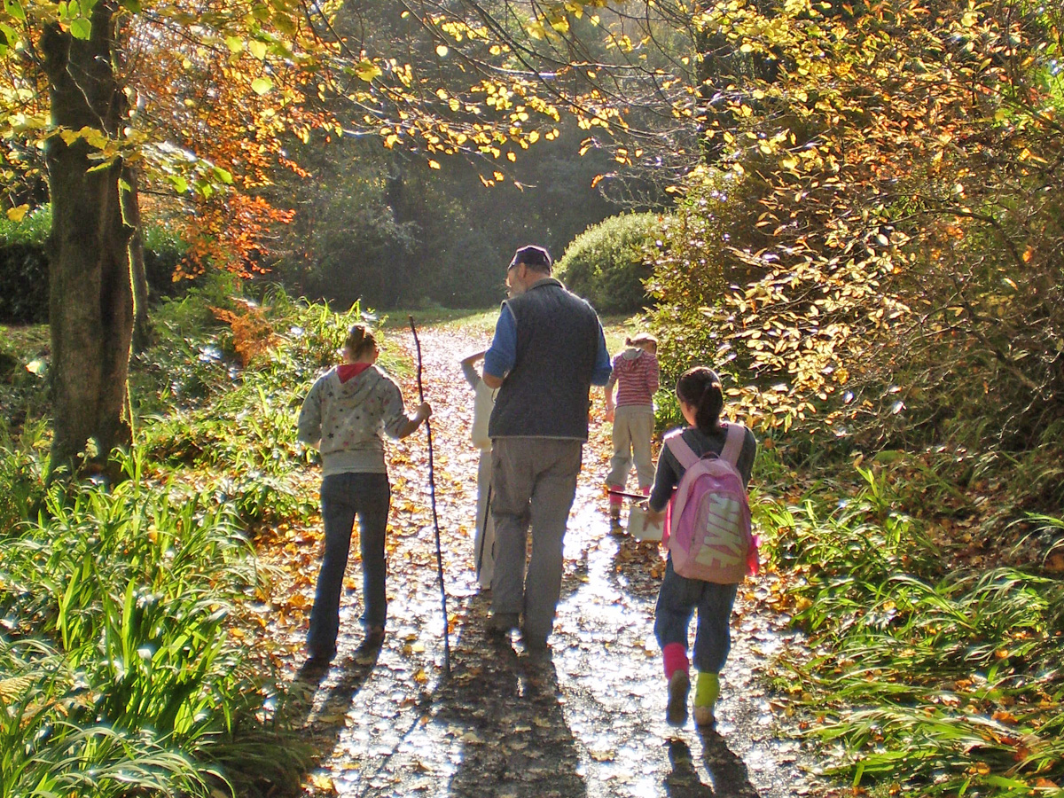 Autumn walk at Colby Woodland Garden, Pembrokeshire Coast National Park, Wales, UK