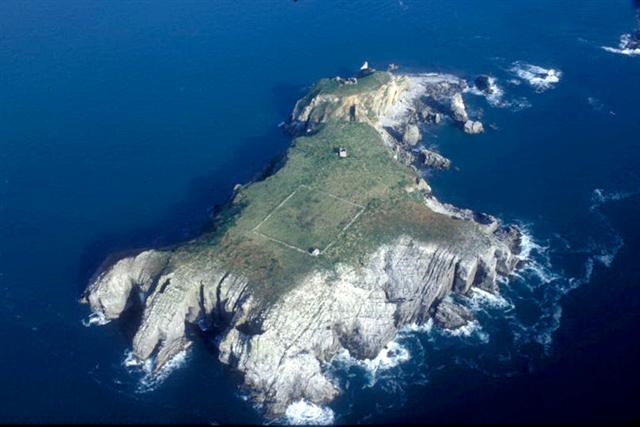 St Margaret's Island near Caldey Island, Tenby, Pembrokeshire Coast National Park, Wales, UK