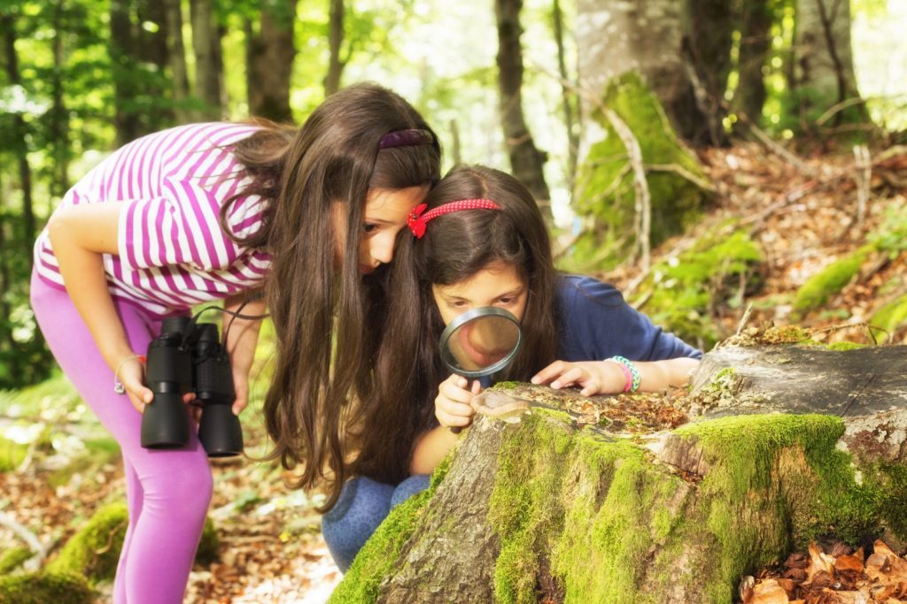 Young explorers in forest using a magnifying glass and studying mushrooms