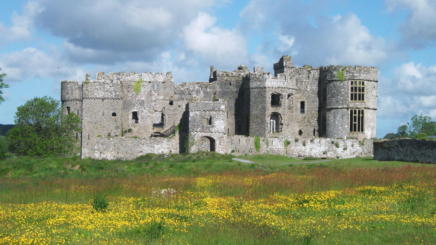 Wildflowers growing at Carew Castle, Pembrokeshire Coast National Park, Wales, UK