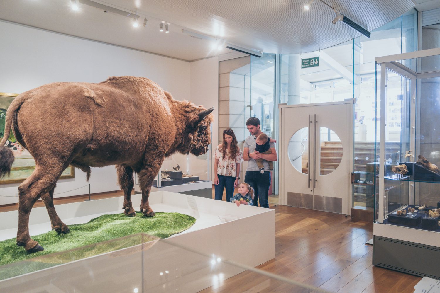 Stones and Bones exhibition at Oriel y Parc Gallery and Visitor Centre, St Davids