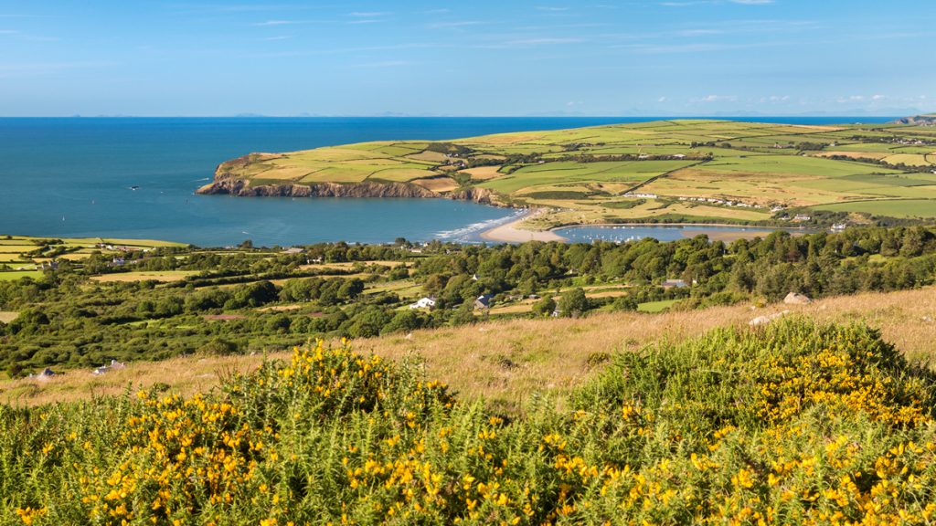 View of Newport from Ffordd Bedd Morris