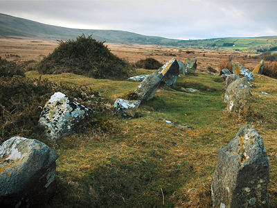 Bedd yr Afanc (Monster's Grave), Brynberian