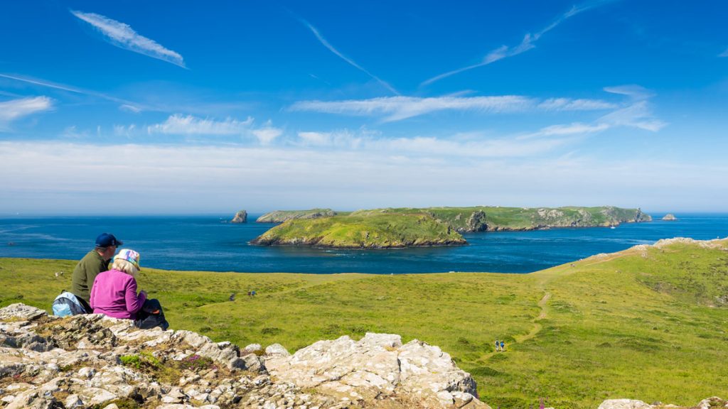 Skomer Island viewed from the Deer Park