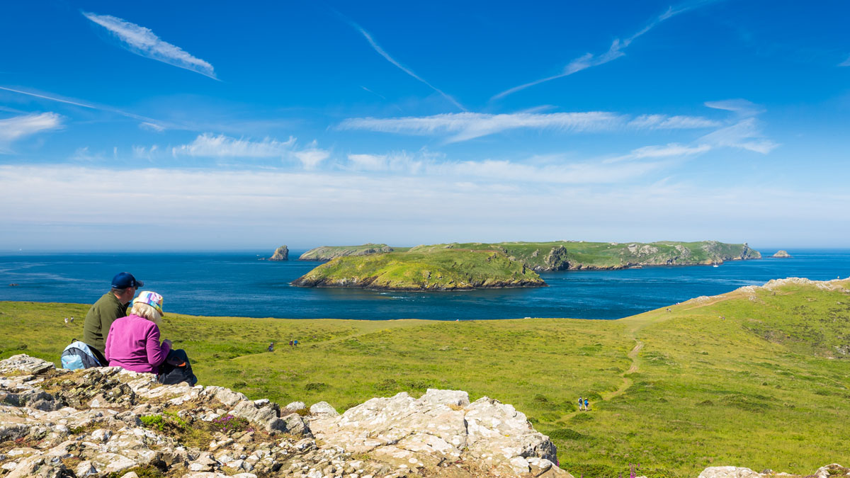 Skomer Island viewed from the Deer Park