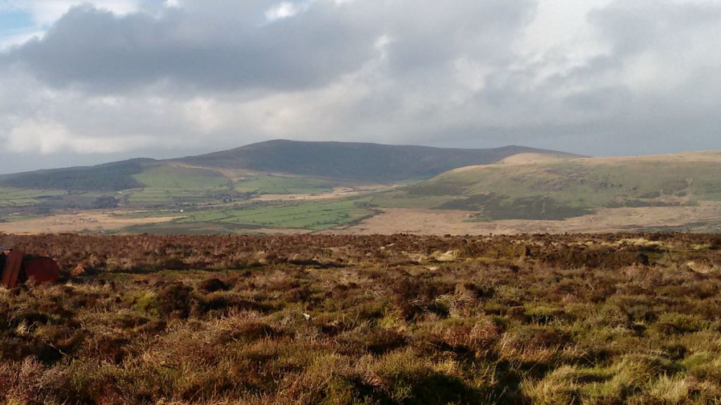 Foel Dyrch, Preseli Hills