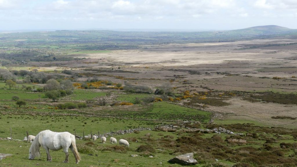 Brynberian, Pembrokshire Coast National Park