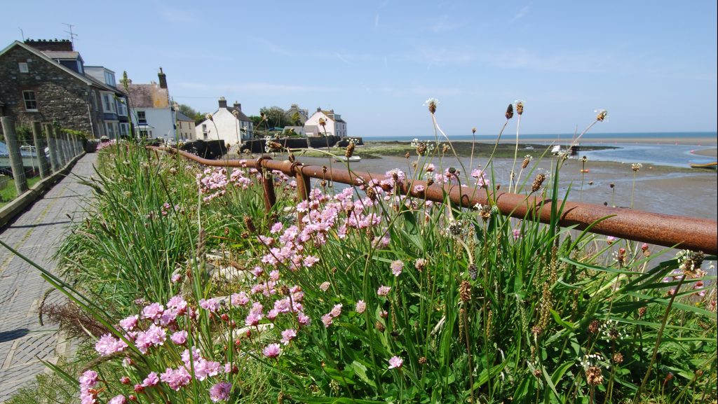 Newport Parrog