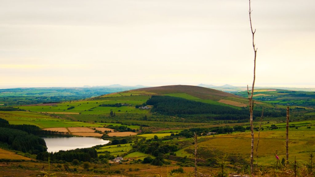 Pantmaenog, Preseli Hills