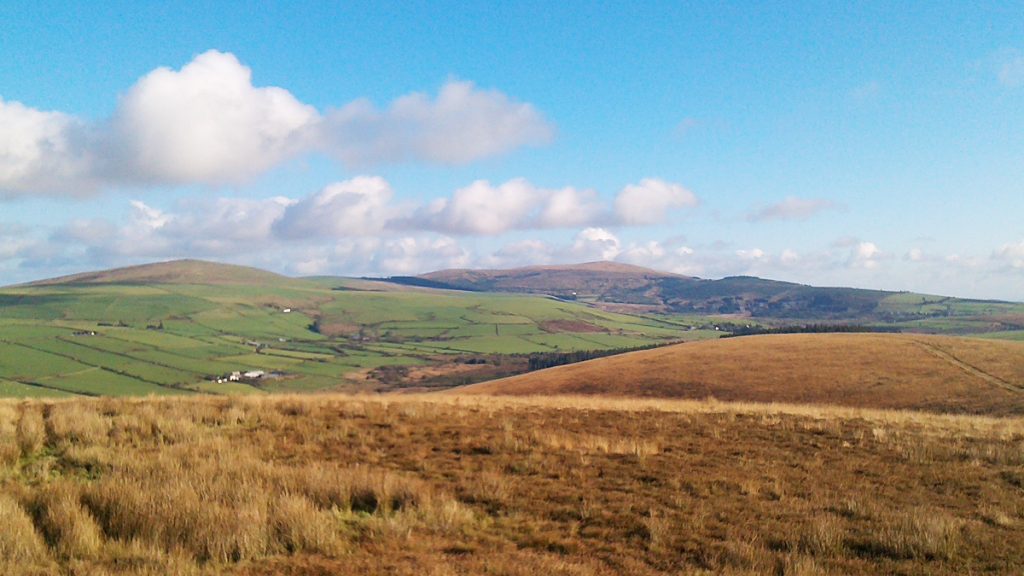 Rosebush from Mynydd Castlebythe, Puncheston