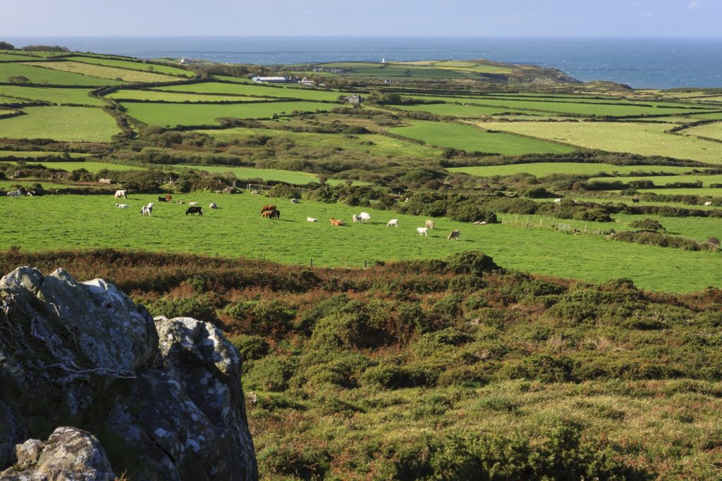 Looking towards Strumble Head from Llanwnda