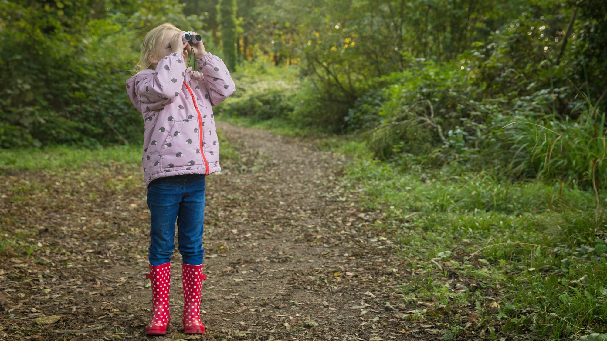 Listening to the dawn chorus in the Pembrokeshire Coast National Park