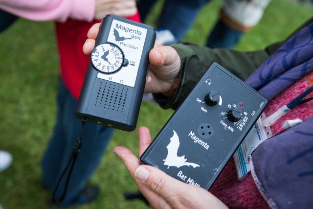 Two handheld echolocators used to detect presence of bats