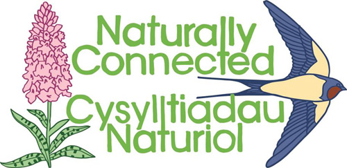 naturally connnected logo
