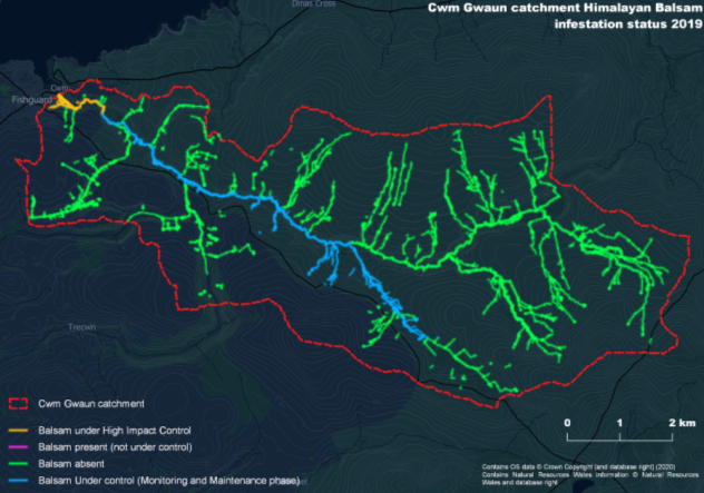 Map showing Cwm Gwaun Himalayan Balsam infestation (2019)