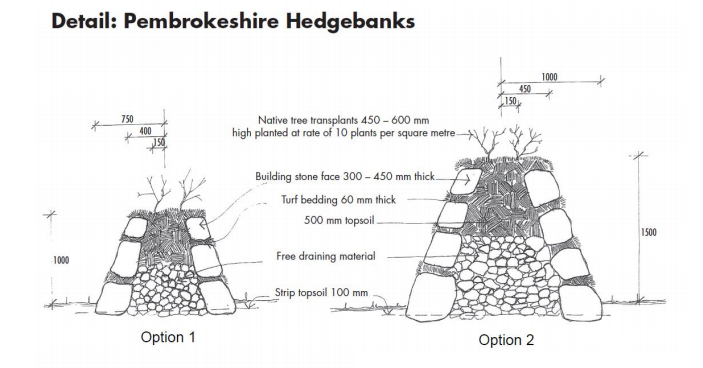 Pembrokeshire Hedgebanks illustration