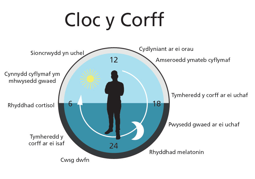 Infograffig Cloc y Corff