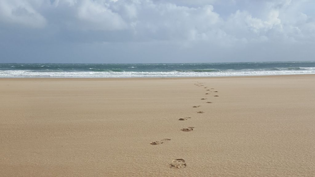 Footprints in the sand going towards the sea