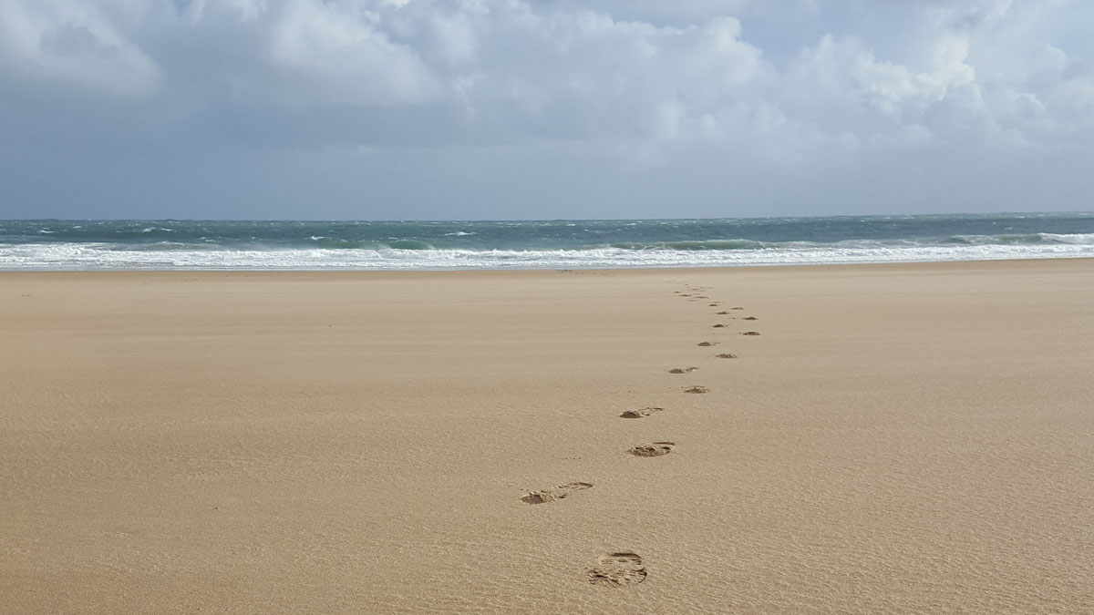 Footprints in the sand going towards the sea