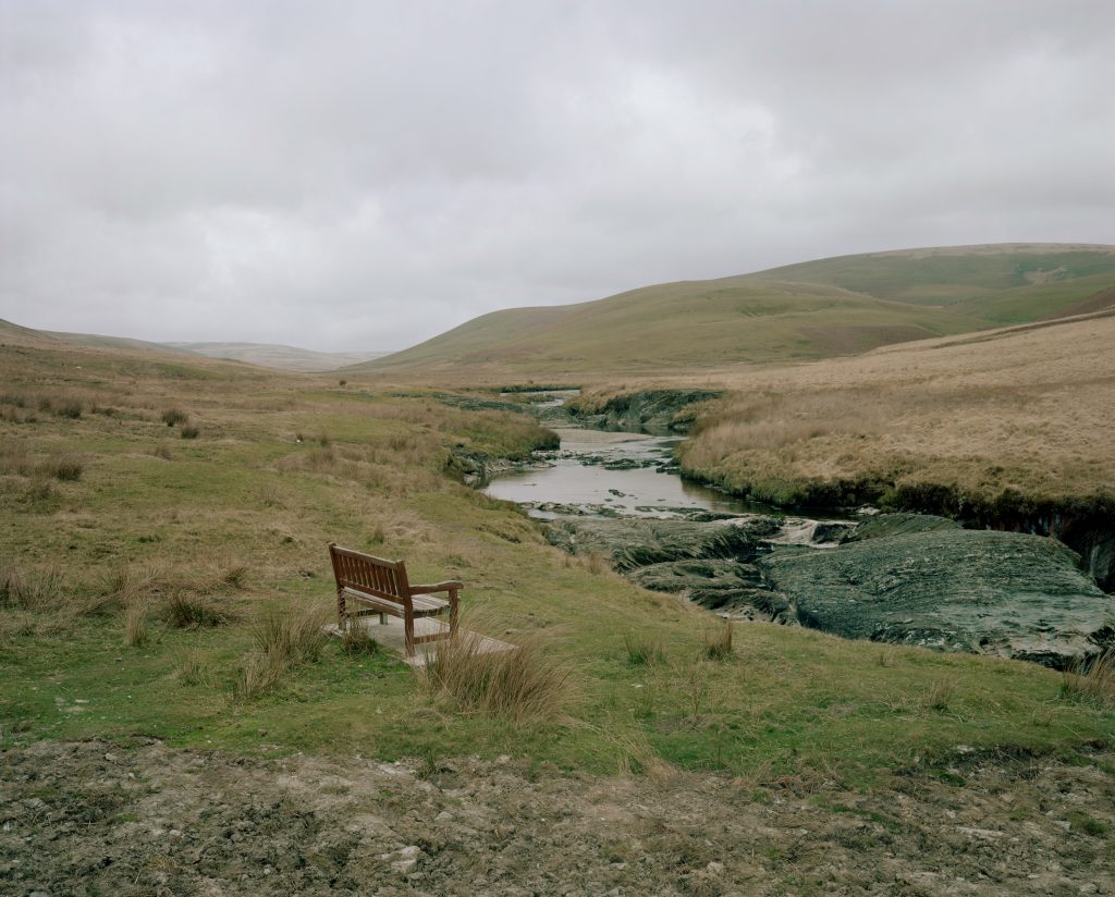 Mainc, Gwarchodfa Natur Cwm Elan, Powys, Cymru 2015