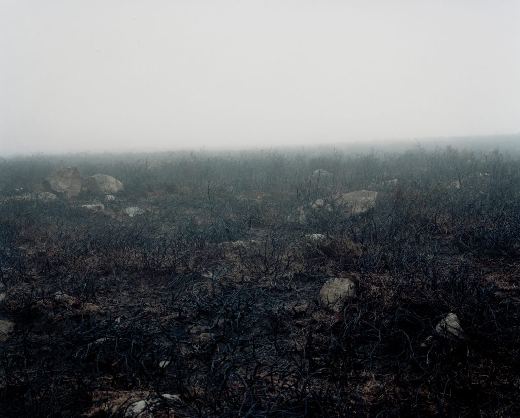 Eithin Llosg, Preseli, Bryniau Preseli, Parc Cenedlaethol Arfordir Penfro, Cymru 2005