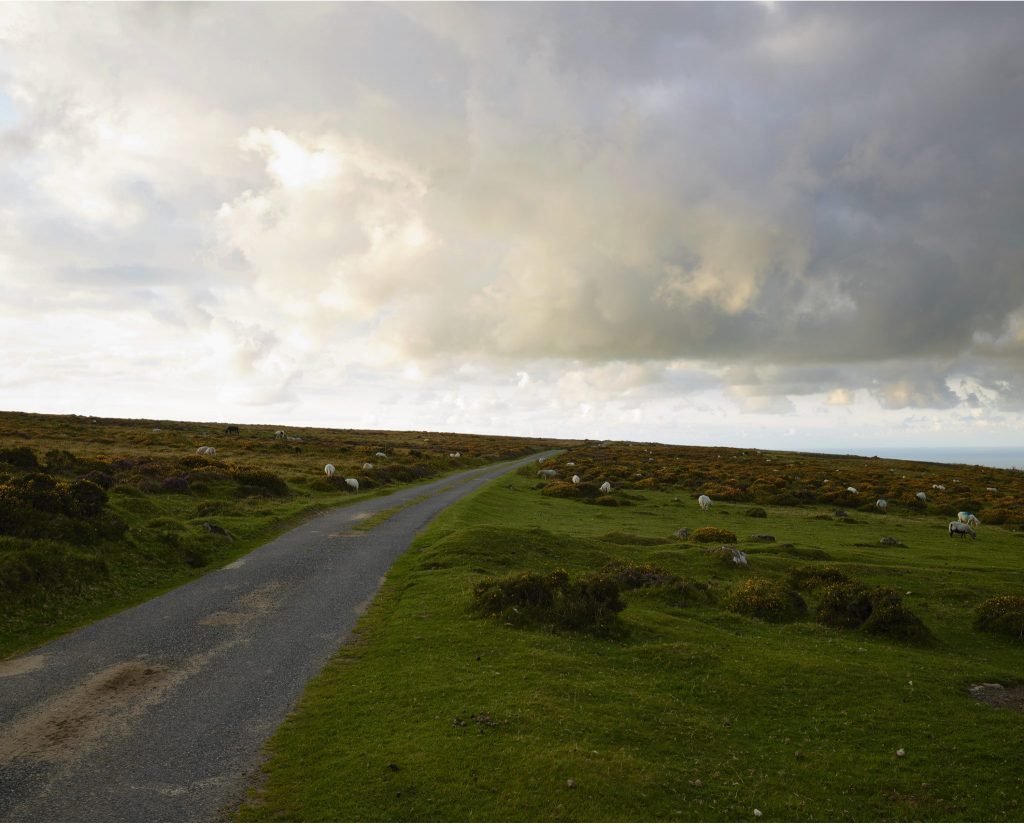 Tir Comin, Mynydd Dinas, Parc Cenedlaethol Arfordir Penfro, Cymru 2019