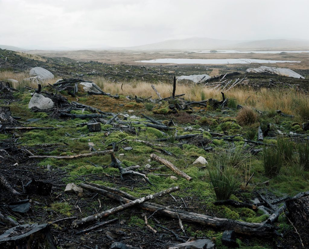 Croes, Anialdir Gwlyb Rannoch Moor, Yr Alban, 2009