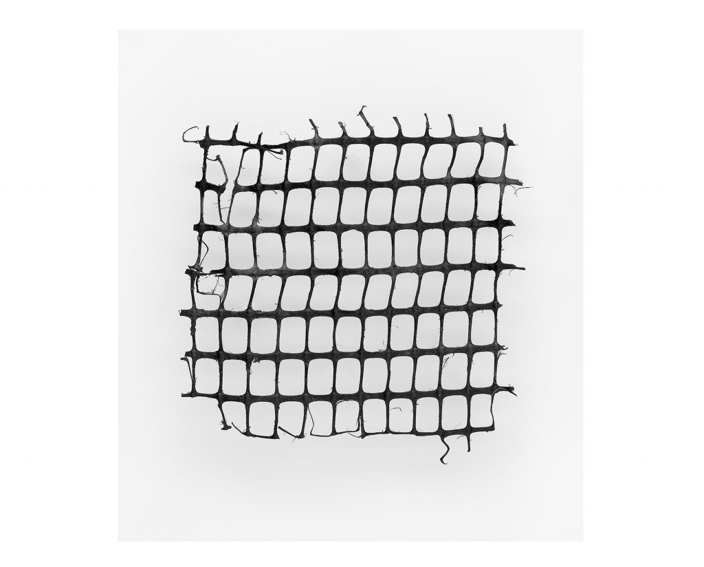 Wrth ddewis beth i dynnu llun ohono, mae’r artist yn edrych am wrthrychau sy’n ysgogi atgofion am amseroedd a llefydd eraill. Mae hwn yn edrych fel tabled marmor wedi ei arysgrifio gyda thestun hynafol. Ond cafodd y marciau eu crafu gan adar môr llwglyd wrth iddynt chwilio am fwyd. Caiff adar môr marw eu canfod yn aml gyda’u stumogau’n llawn plastig. Mae palod, gwylanod coesddu a hyd yn oed gwylanod penwaig ar restr goch yr RSPB o adar sydd angen help ar frys.