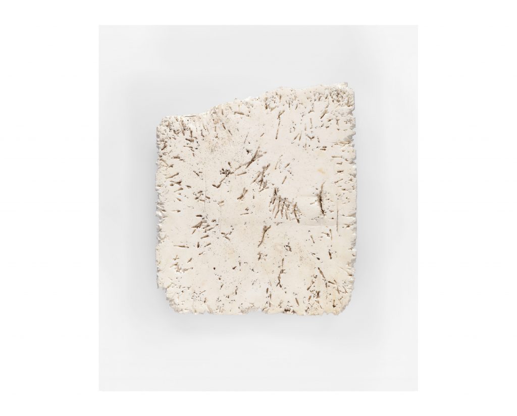 Ewyn wedi’i Bigo, Porth Ceiriad, Penrhyn Llŷn, Cymru, 2016