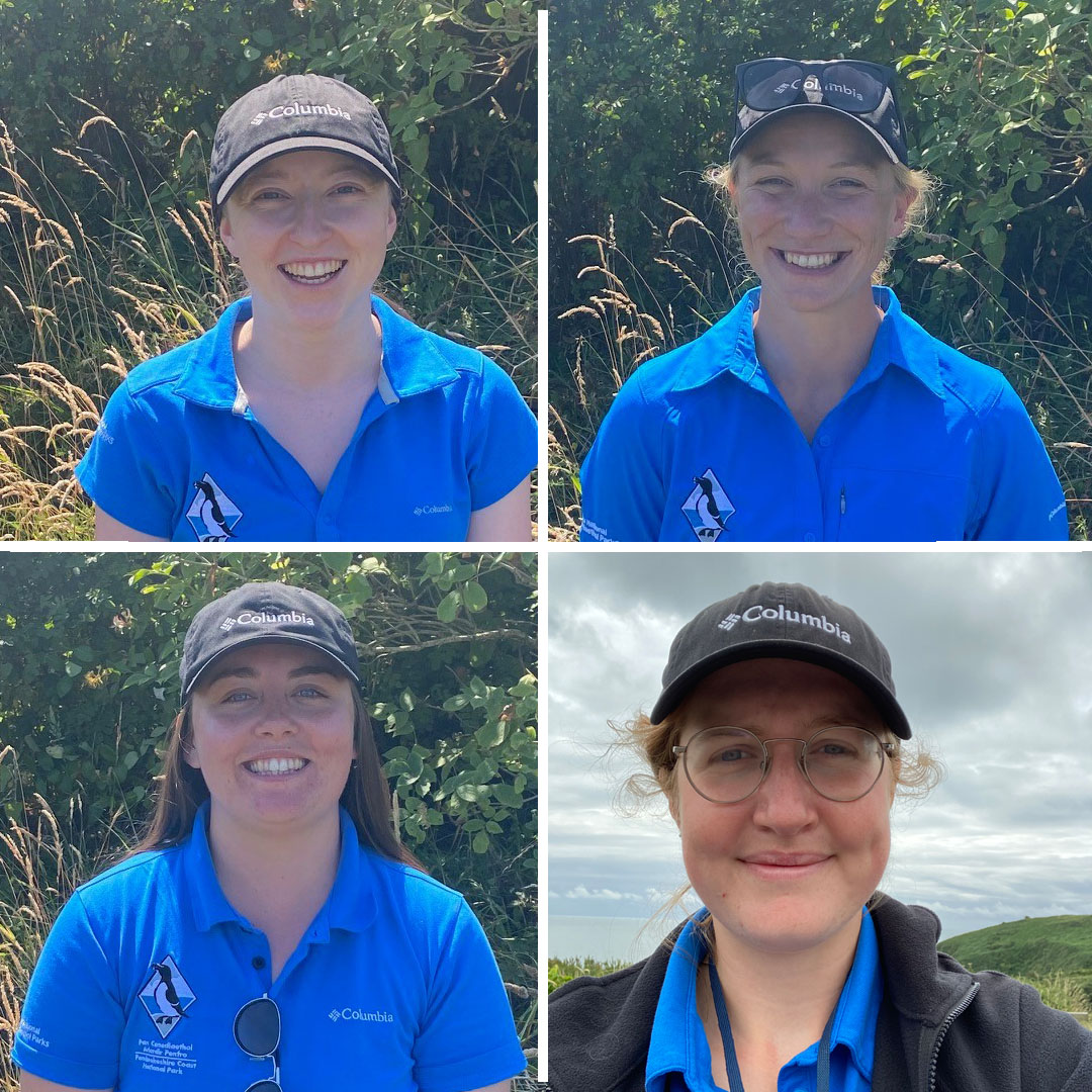 Four female Pembrokeshire Coast National Park female Summer Rangers in bright blue shirts