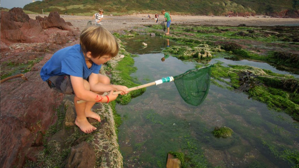 Child holding fishing net crouching over a rockpool on a beach