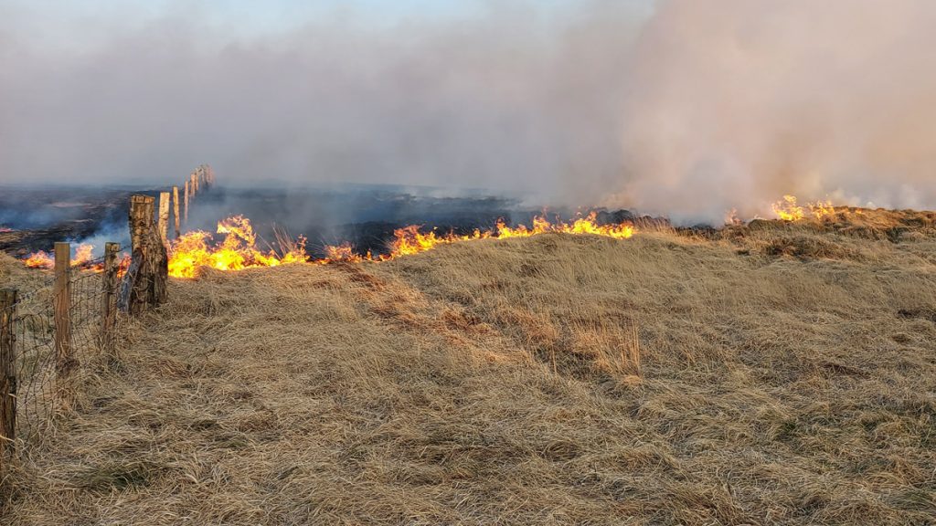 Wildfire on a grassy hill