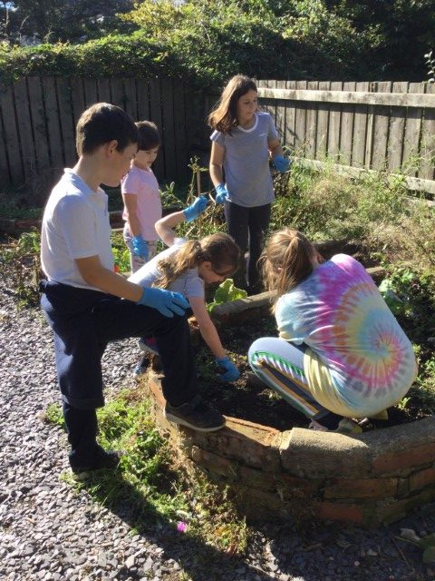 School children benefit from Force for Nature grants