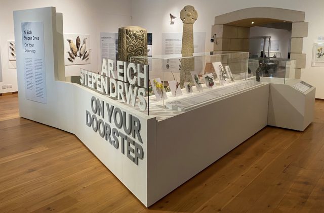 Image of an exhibition in an art gallery including various natural history finds and a decal that reads 'On Your Doorstep'