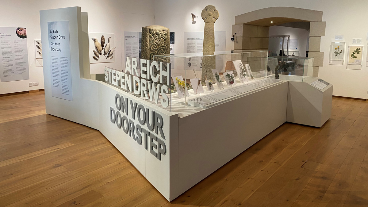 Image of an exhibition in an art gallery including various natural history finds and a decal that reads 'On Your Doorstep'