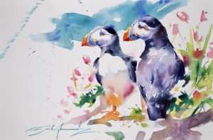 A pair of Puffins by Tom Shepherd