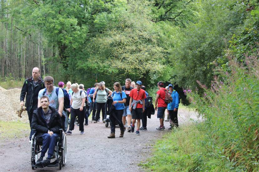 Walkability members taking a stroll in Canaston Woods