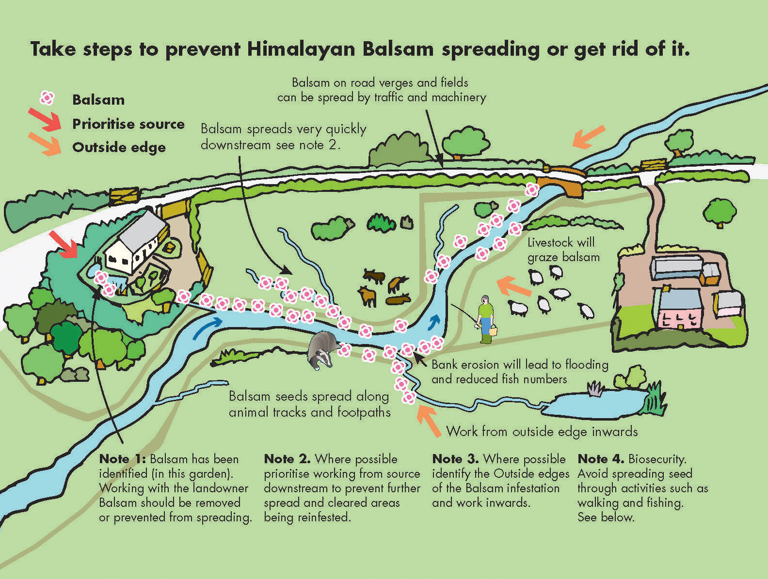 Diagram showing how effective control of Himalayan balsam can push it back to the riparian source