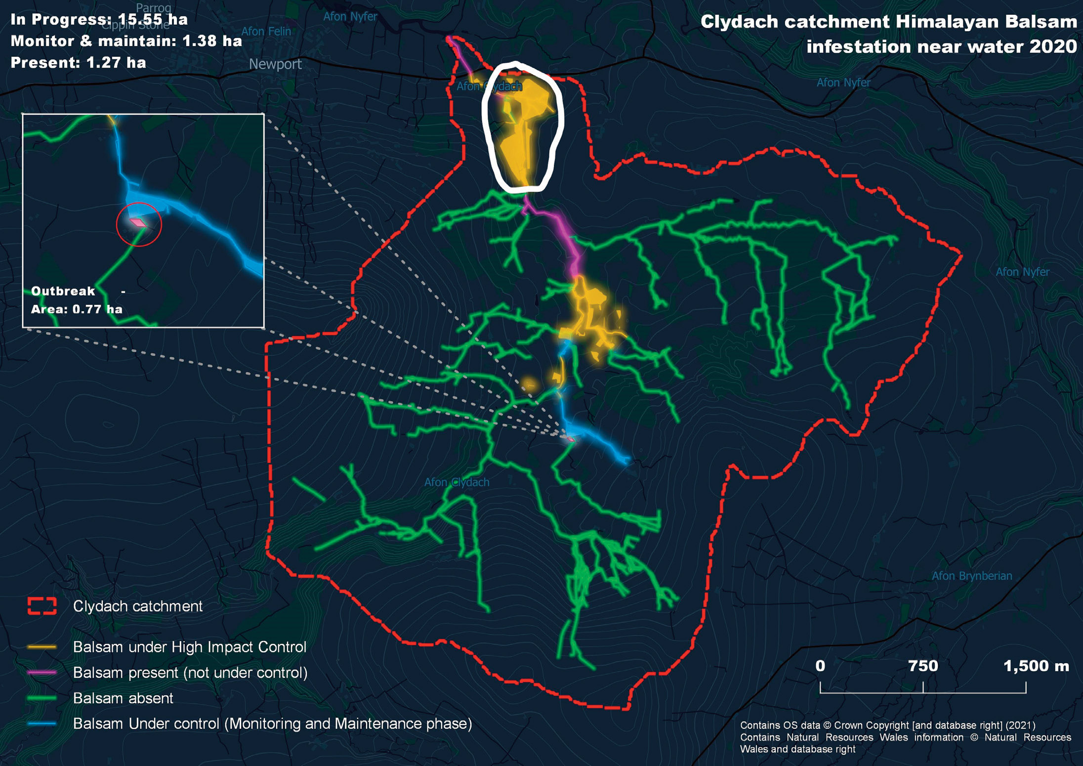 Catchment Map showing Himalayan balsam infestation of Clydach catchment of Gwaun Valley, Pembrokeshire, Wales UK in 2020