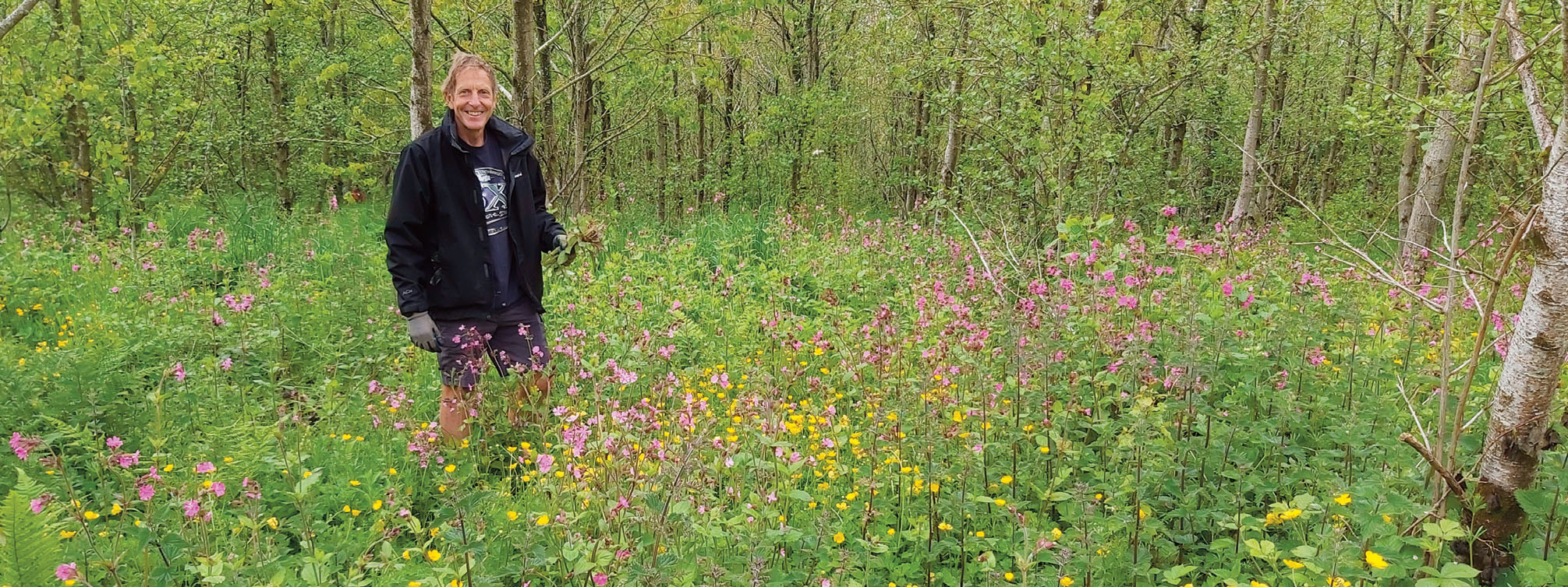 Area of woodland that is undergoing Himalayan balsam removal showing some evidence of Himalyan Balsam