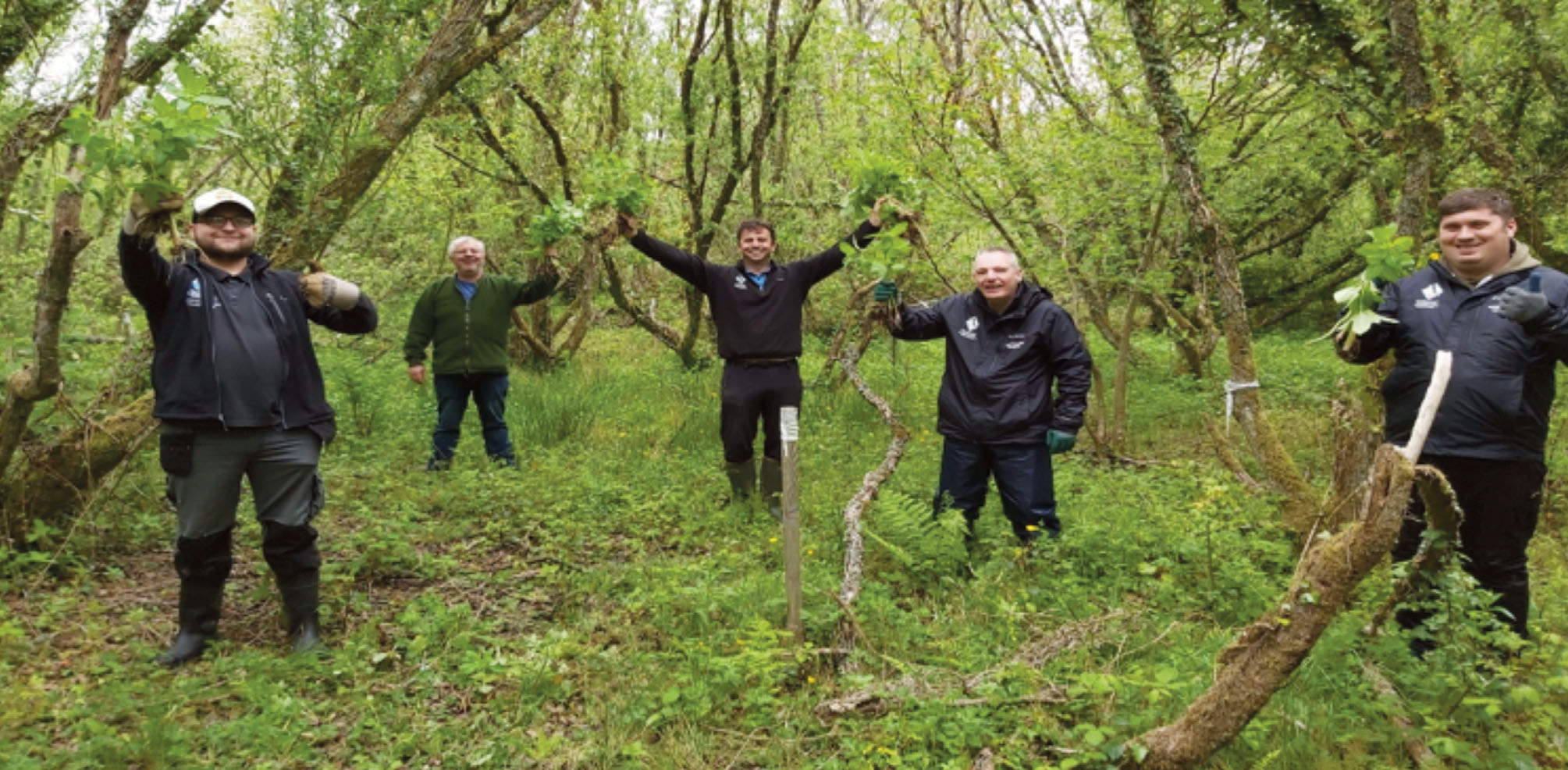 5 men standing around a wooden post in a wood holding Himalyan balsam plants they have removed. Taken May 2021 in Chapel Hill Wood, Castlemartin Corse, Pembrokeshire, Wales, UK